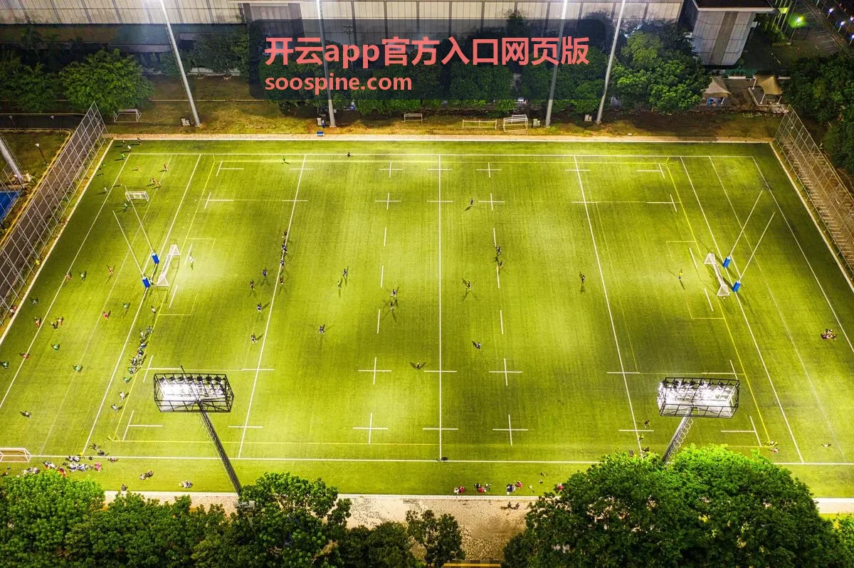 开云app官方入口网页版快捷入口与桌面图标设置示意图