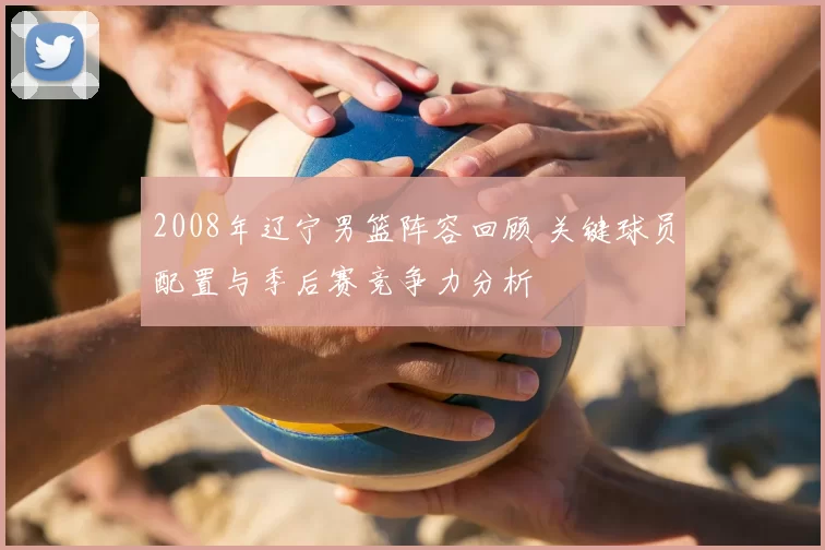 2008年辽宁男篮阵容回顾 关键球员配置与季后赛竞争力分析