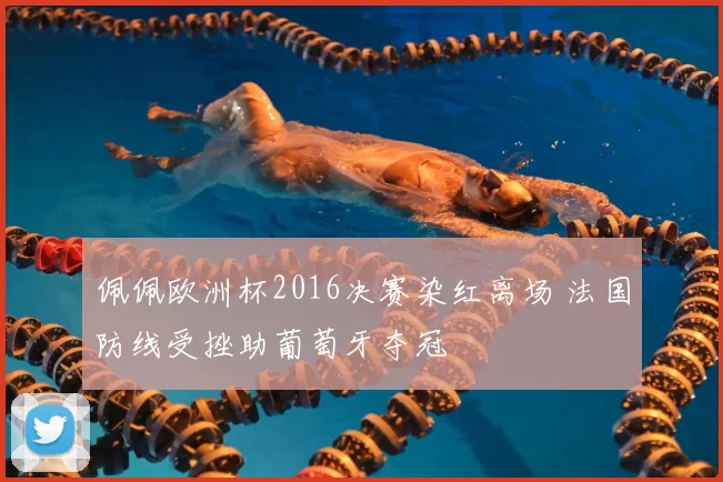 佩佩欧洲杯2016决赛染红离场 法国防线受挫助葡萄牙夺冠