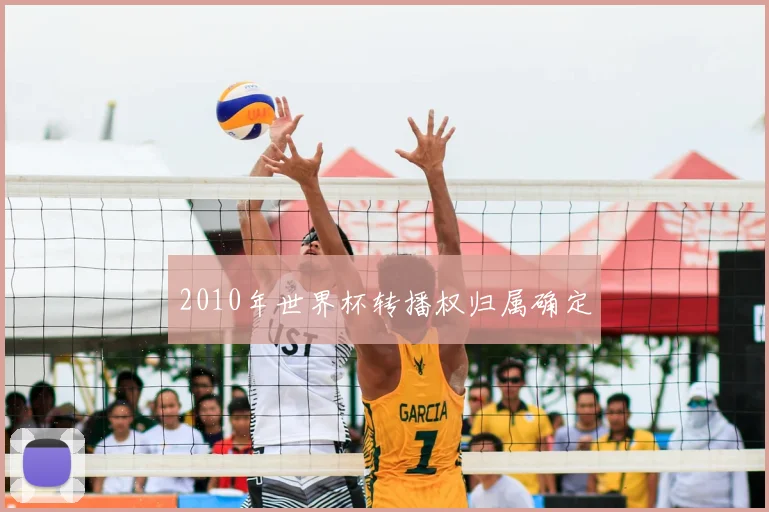 2010年世界杯转播权归属确定
