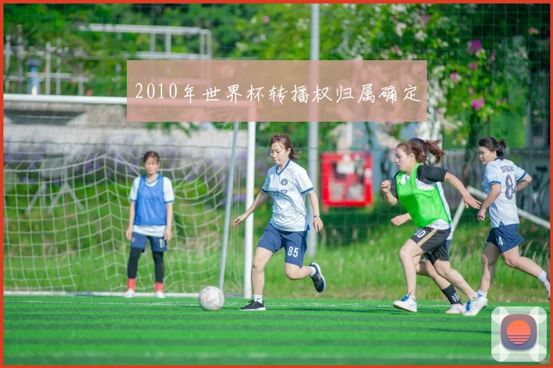 2010年世界杯转播权归属确定