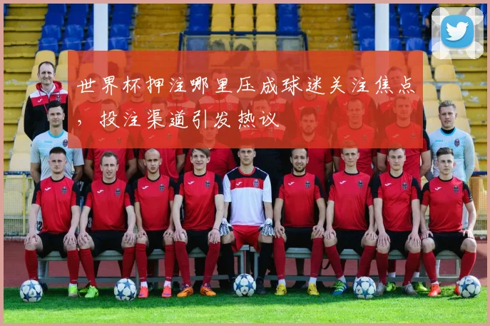 世界杯押注哪里压成球迷关注焦点，投注渠道引发热议