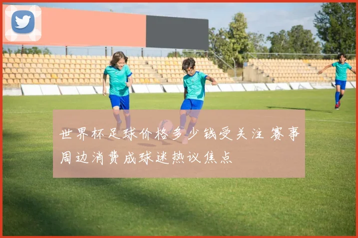 世界杯足球价格多少钱受关注 赛事周边消费成球迷热议焦点